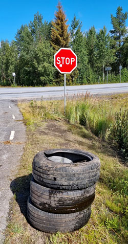 Nedskräpning